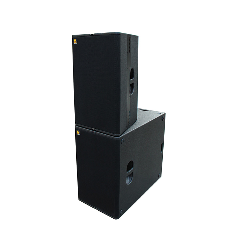 T24N Dual 12 Inch Loudspeaker With Excellent Speech Intelligibility And Musicality