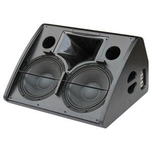 M212 Dual 12 Inch Bi-amp PA DJ Stage Monitor Speakers