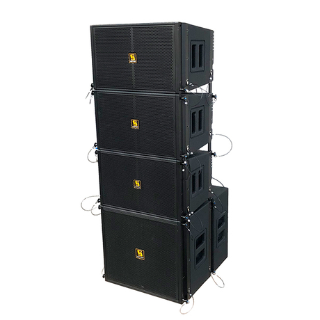 Line array hot sale 10